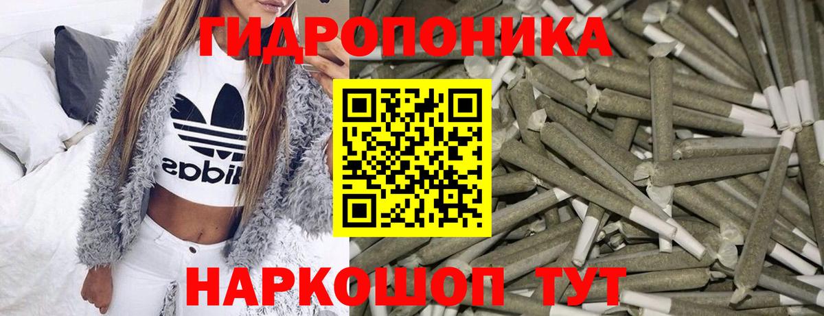 Бошки Шишки ГИДРОПОН  Конопля планчик  Карачаевск  Вход с VPN  МАРИХУАНА White Widow  Бошки Шишки THC 21% 